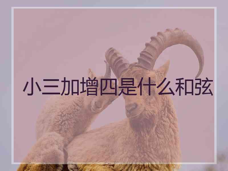 小三加增四是什么和弦