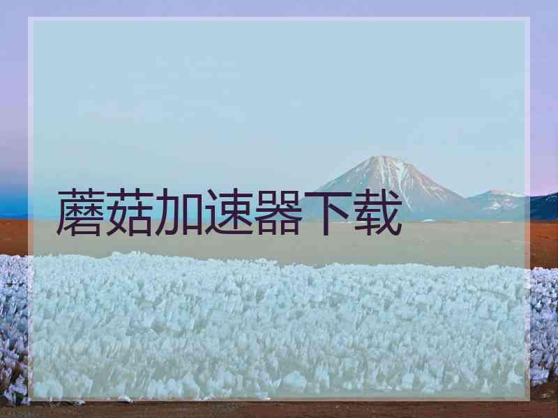 蘑菇加速器下载