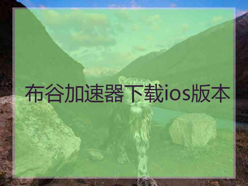 布谷加速器下载ios版本