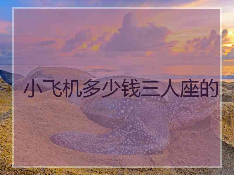 小飞机多少钱三人座的