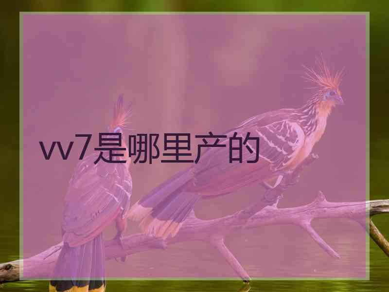 vv7是哪里产的