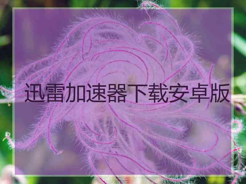 迅雷加速器下载安卓版
