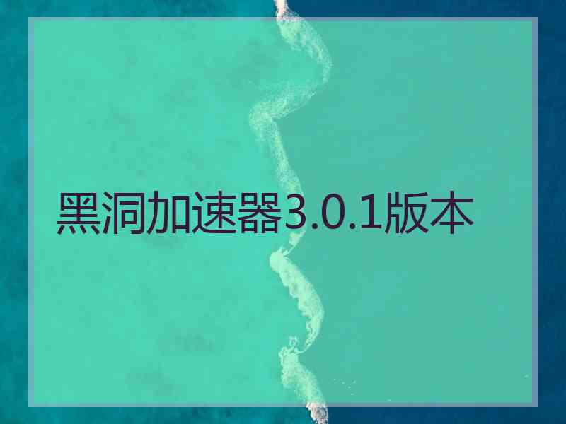 黑洞加速器3.0.1版本