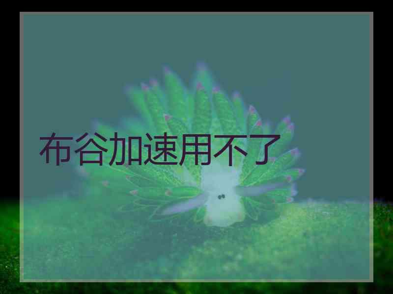 布谷加速用不了