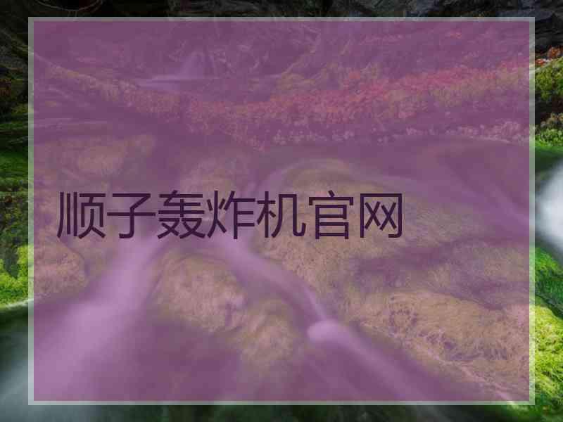 顺子轰炸机官网
