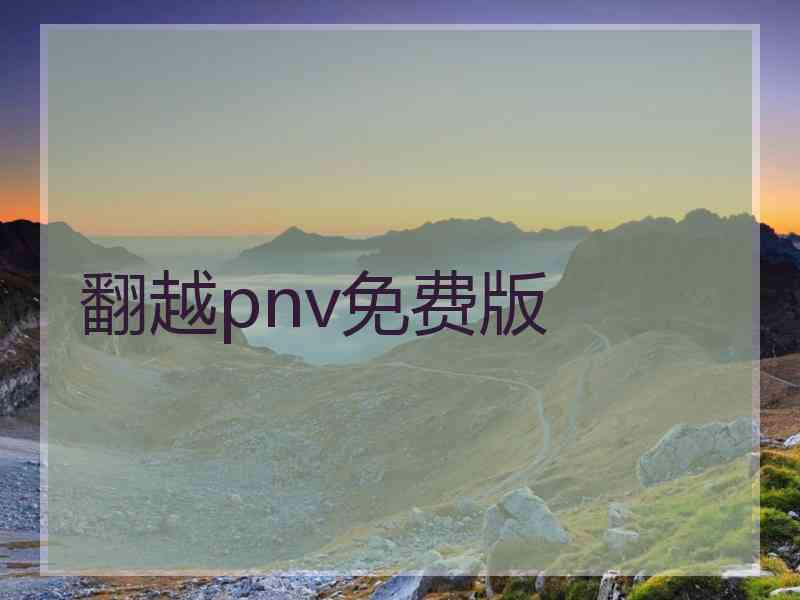 翻越pnv免费版