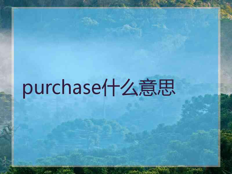 purchase什么意思