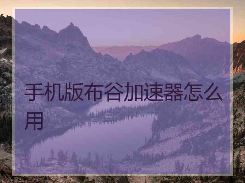 手机版布谷加速器怎么用