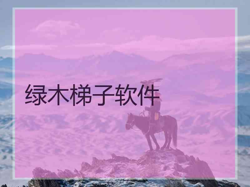 绿木梯子软件