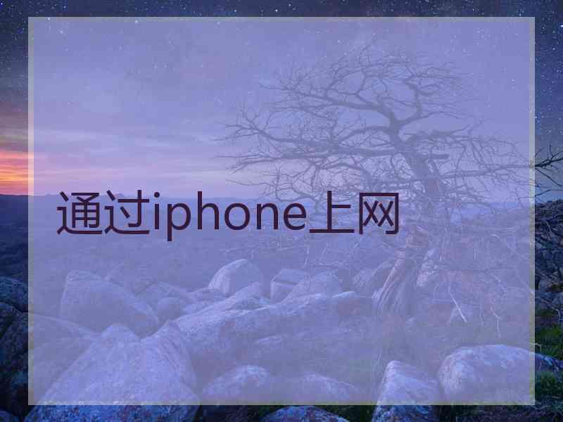 通过iphone上网