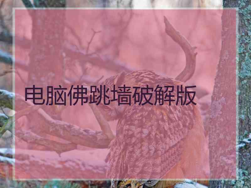 电脑佛跳墙破解版