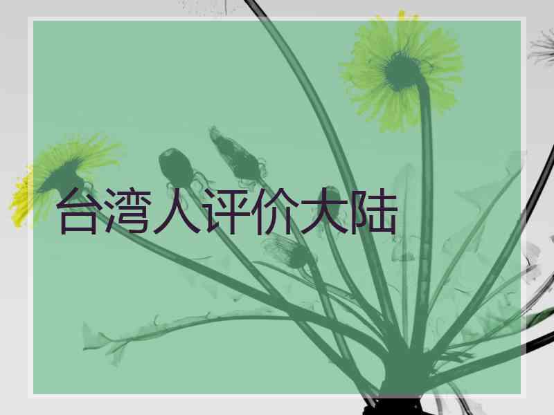 台湾人评价大陆
