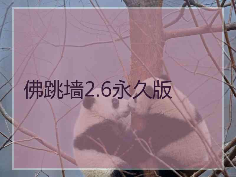 佛跳墙2.6永久版