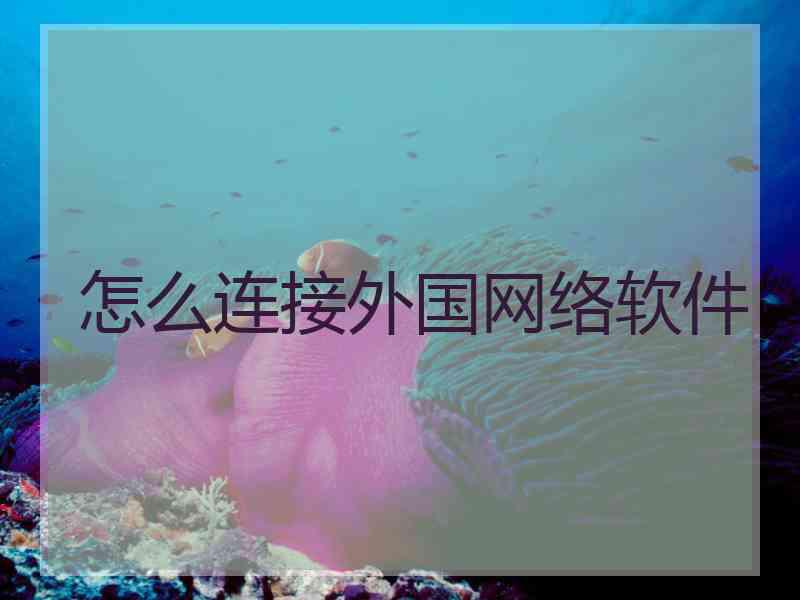 怎么连接外国网络软件