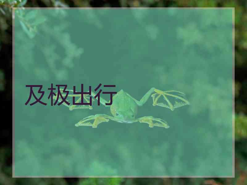 及极出行