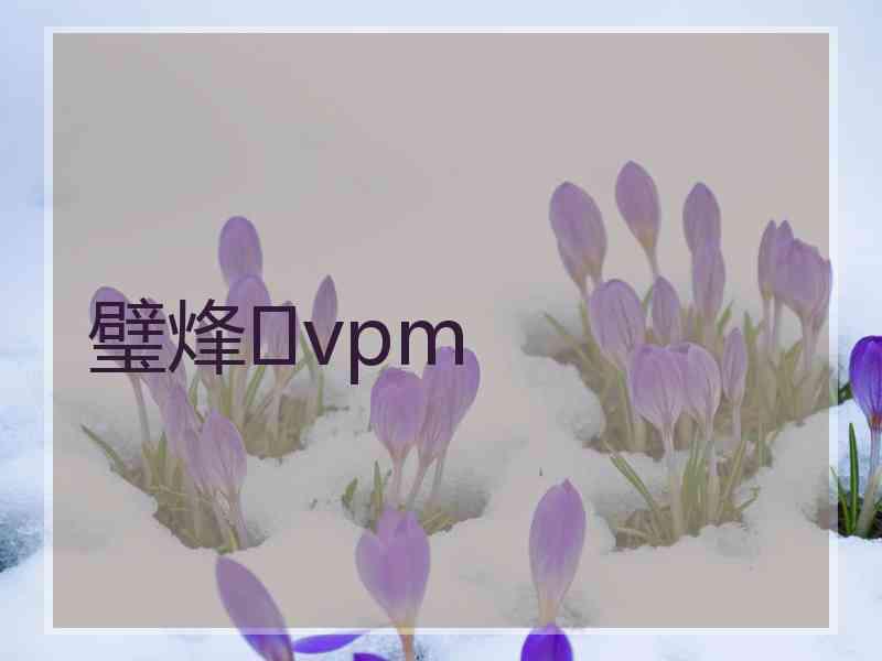 璧烽vpm