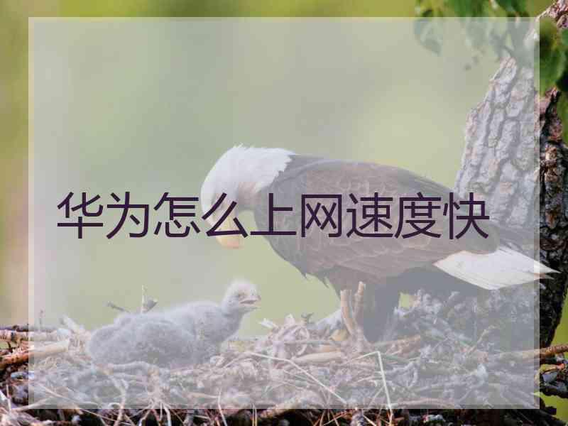 华为怎么上网速度快