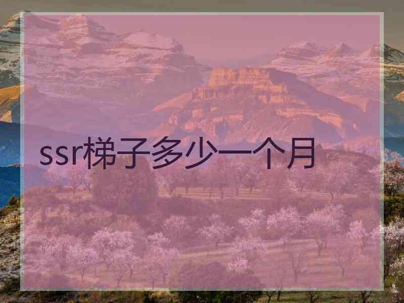 ssr梯子多少一个月