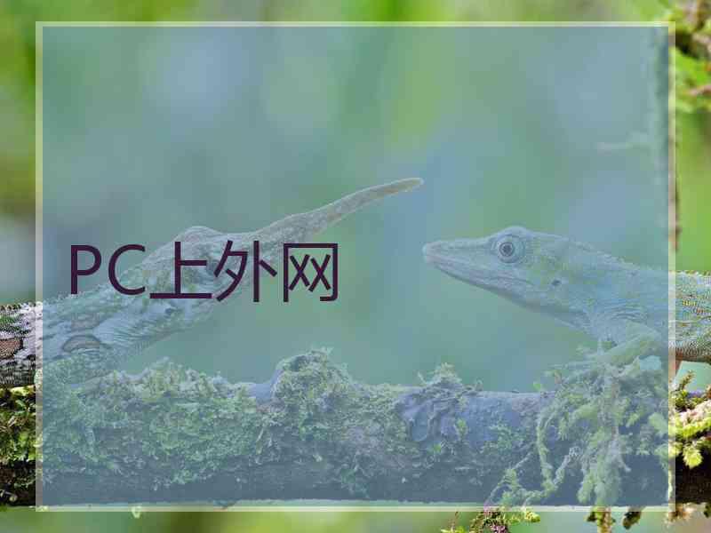 PC上外网