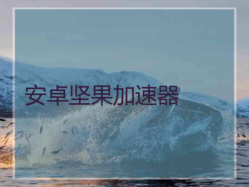 安卓坚果加速器