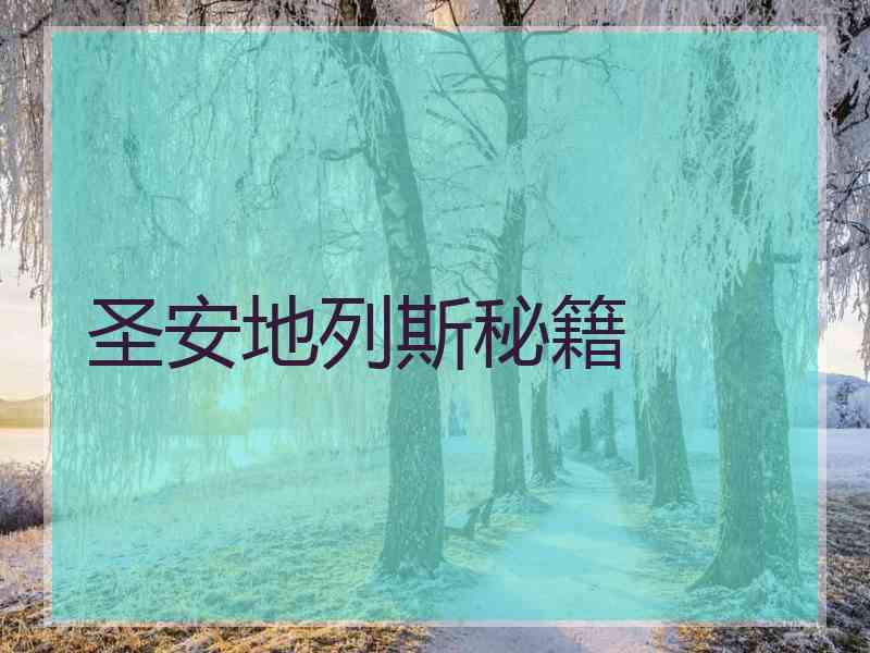 圣安地列斯秘籍