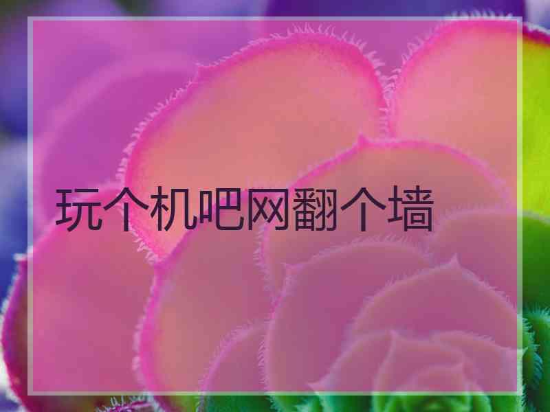玩个机吧网翻个墙