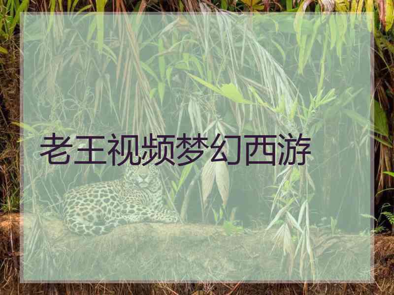 老王视频梦幻西游