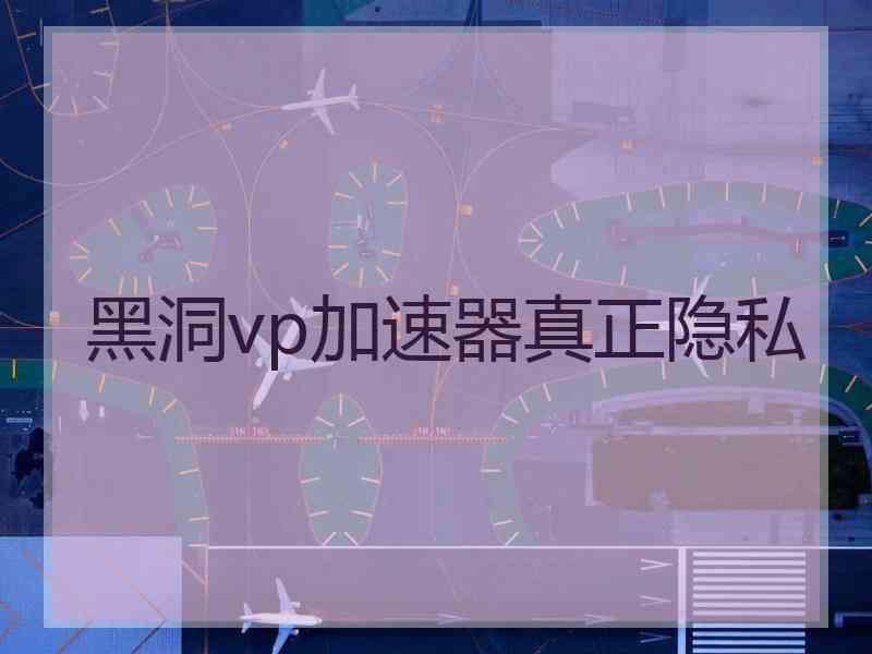 黑洞vp加速器真正隐私