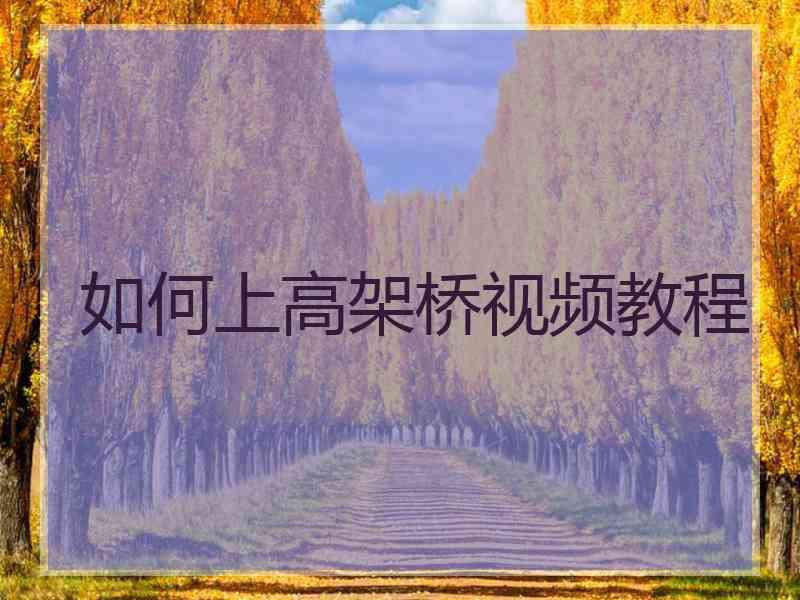 如何上高架桥视频教程