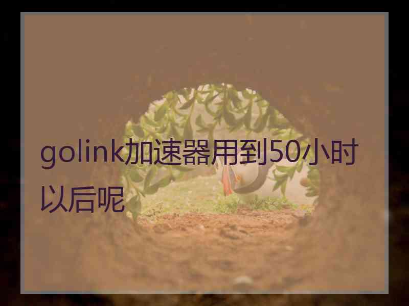 golink加速器用到50小时以后呢