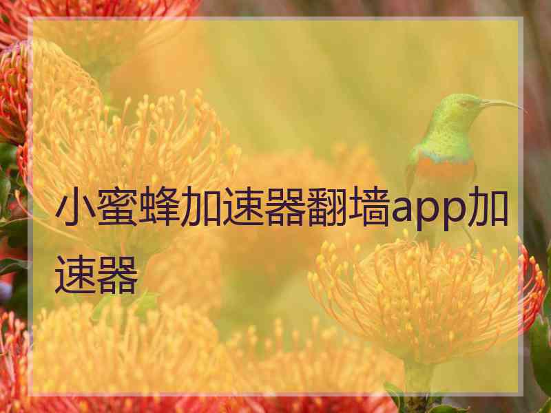 小蜜蜂加速器翻墙app加速器