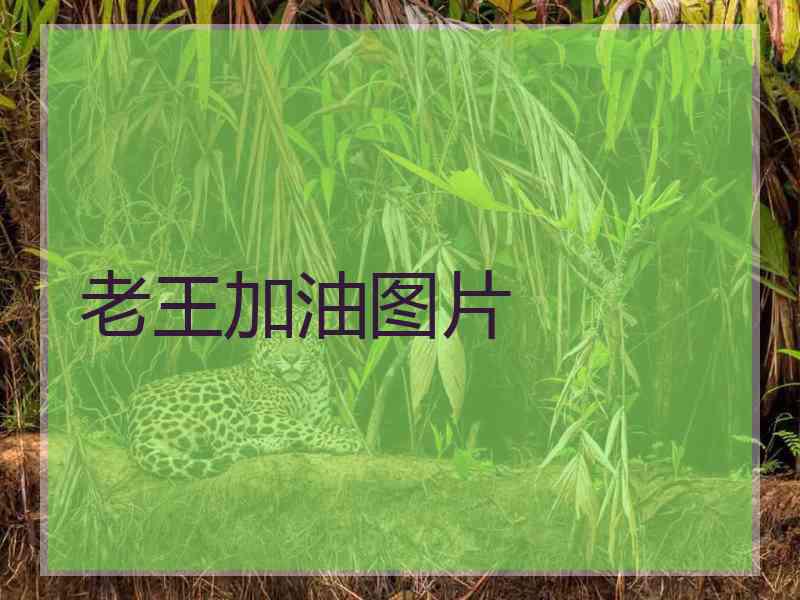 老王加油图片