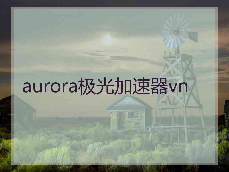 aurora极光加速器vn