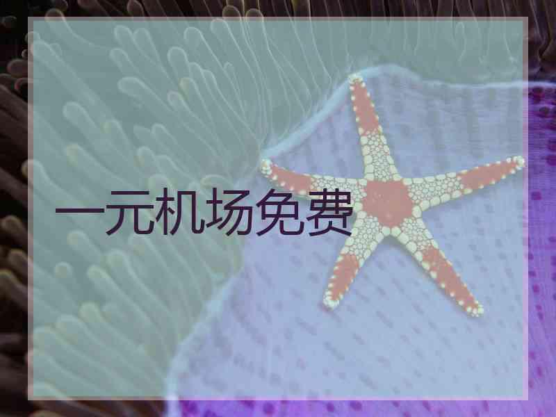 一元机场免费