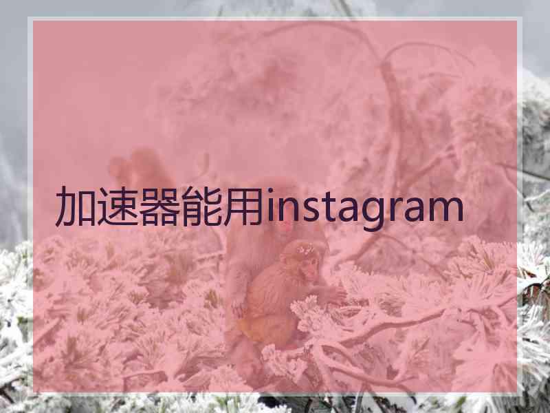 加速器能用instagram