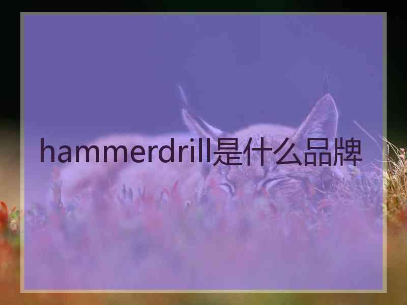 hammerdrill是什么品牌