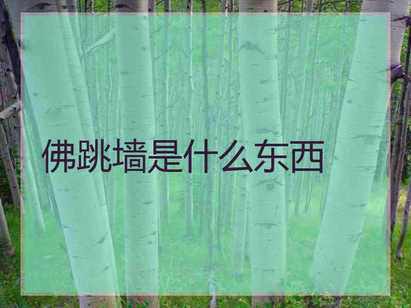 佛跳墙是什么东西