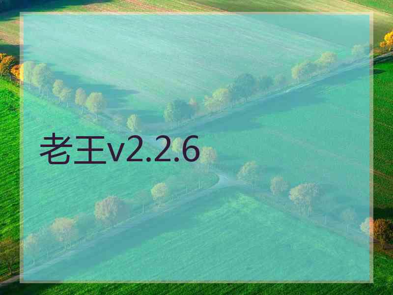 老王v2.2.6