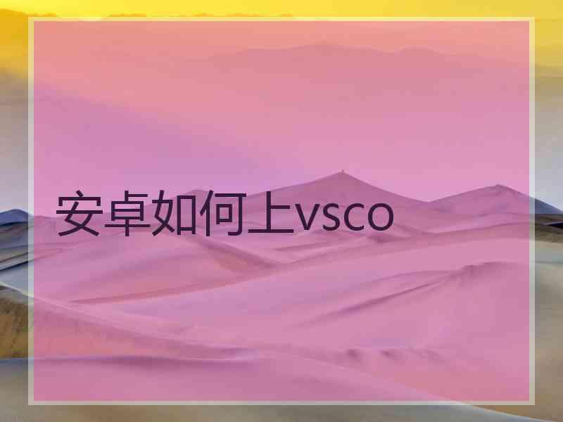安卓如何上vsco