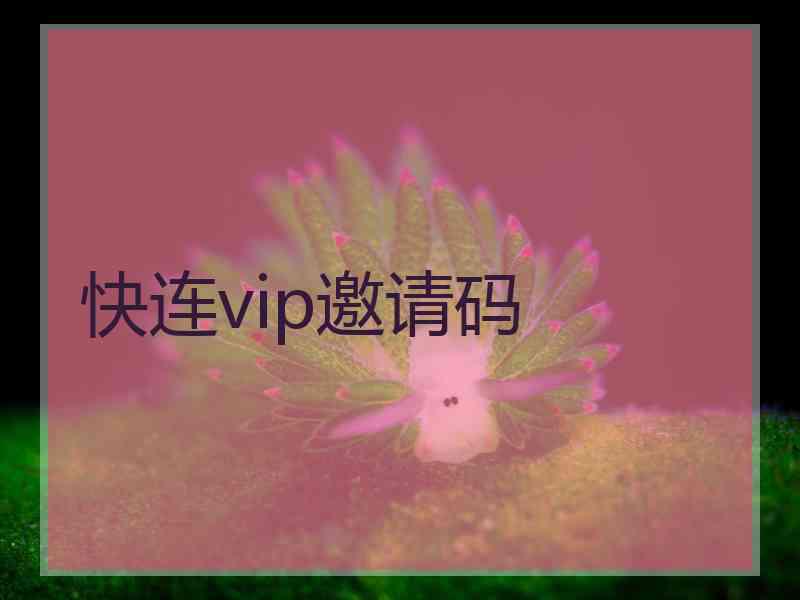 快连vip邀请码