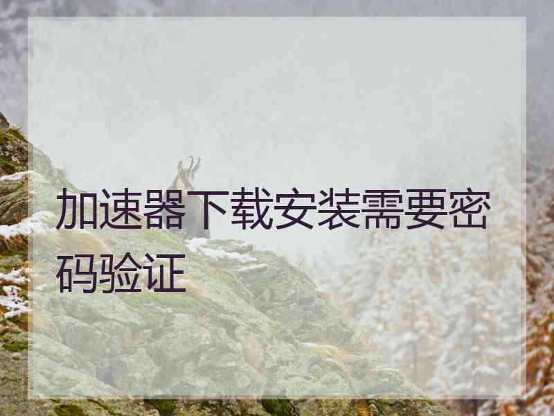 加速器下载安装需要密码验证