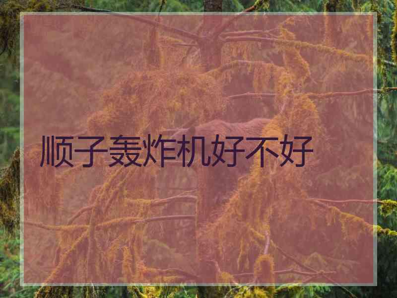 顺子轰炸机好不好