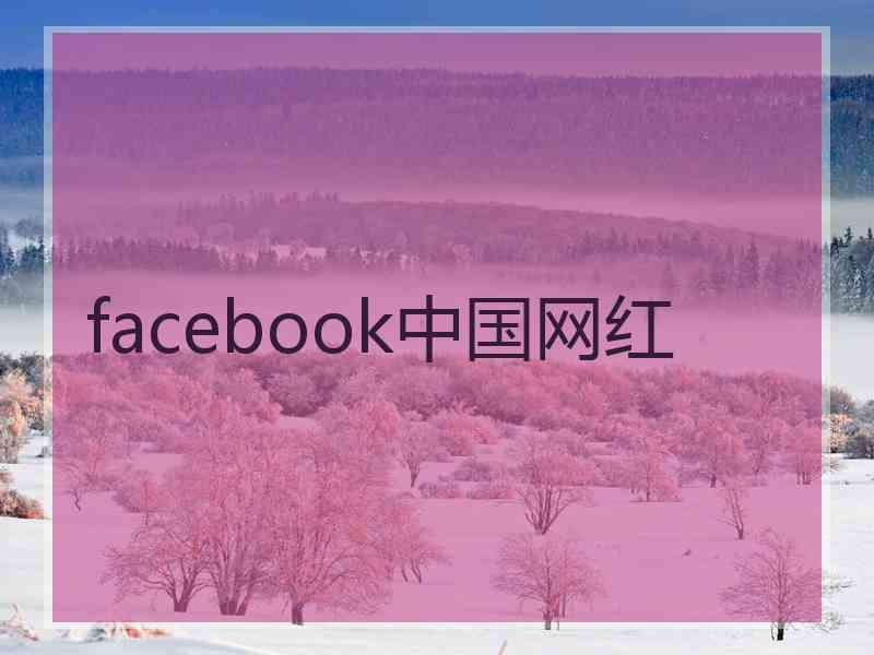 facebook中国网红