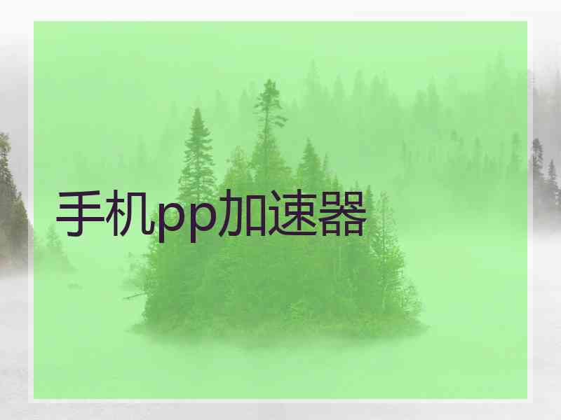 手机pp加速器