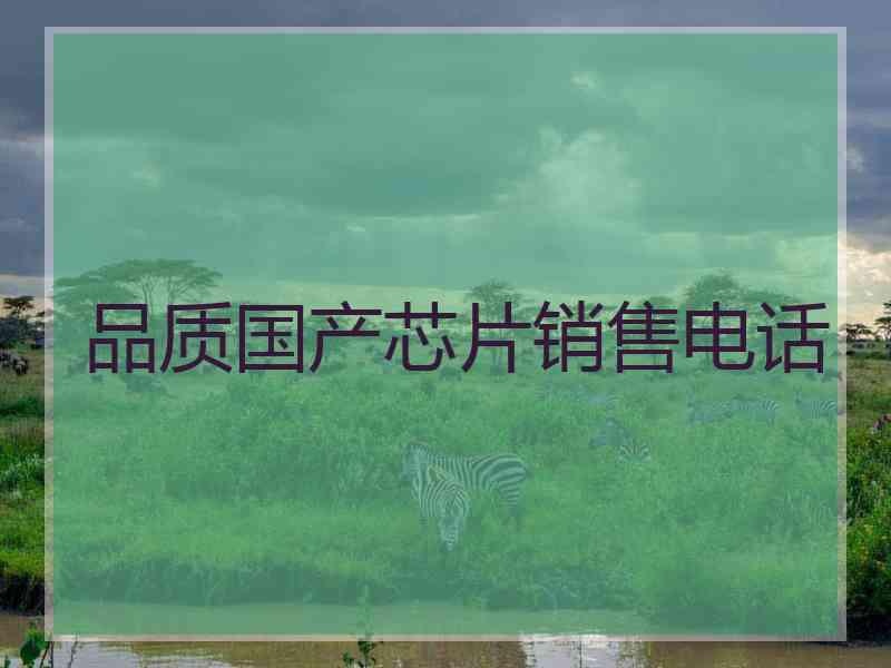 品质国产芯片销售电话