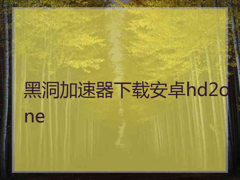 黑洞加速器下载安卓hd2one