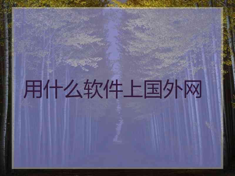 用什么软件上国外网