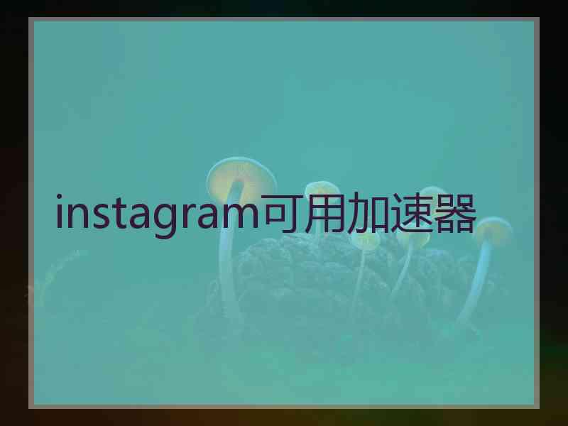 instagram可用加速器