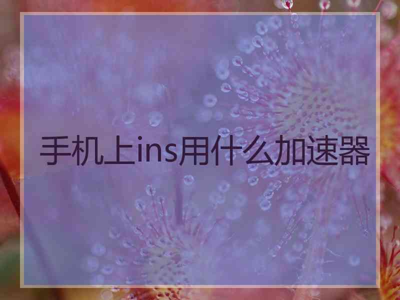 手机上ins用什么加速器