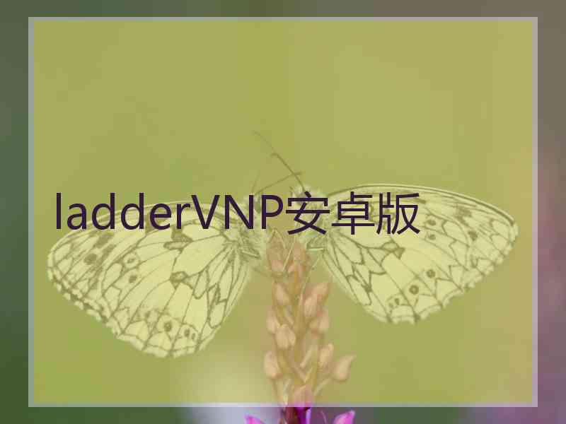 ladderVNP安卓版